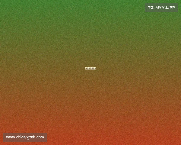 新疆赛总多少钱